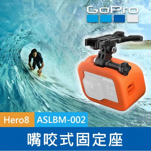 【完整盒裝】GoPro 原廠 嘴咬式固定座 ASLBM-002 漂浮塊 Floaty HERO 8 穿戴式 台閔公司貨