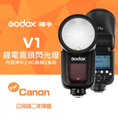 【現貨】 神牛 V1 公司貨 兩年保固 For Canon 圓頭燈頭 LED輔助燈 鋰電池供電 Godox
