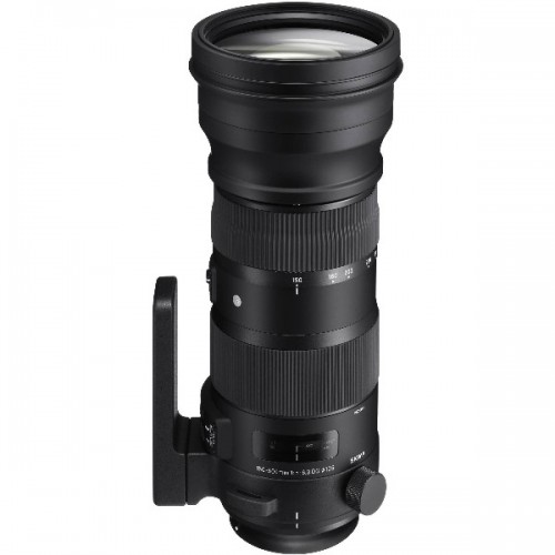 【缺貨】SIGMA 150-600mm F5-6.3 DG OS HSM [Sport] 平行輸入 For Canon